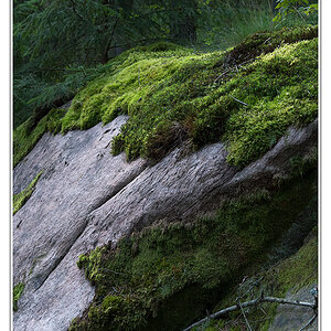 stein im wald2