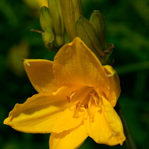 DSC6371