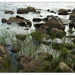 steine im wasser
