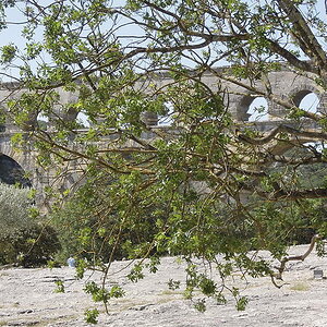 Sommer 2012 0057 low