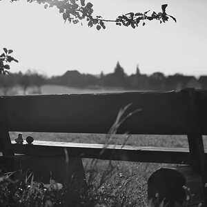 DSC 5525 web crop bw