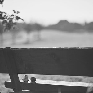DSC 5527 web bw