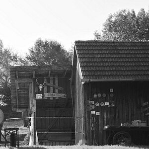 DSC 5569 web crop bw