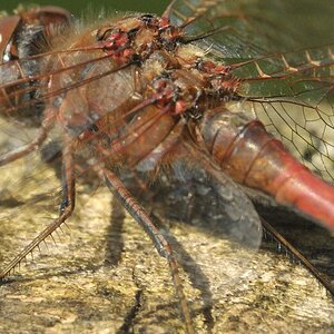 DSC 5700 web crop