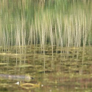 DSC 5704 web crop
