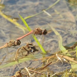 DSC 5744 web crop