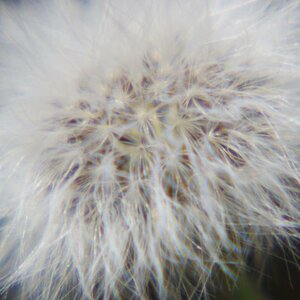 Brennweite: 170 + *1 Macro-Vorsatz