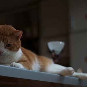 DSC 6717