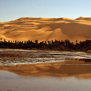 Mandarasee