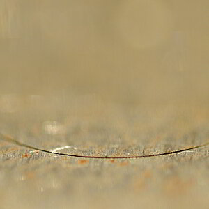 2012 09 04 0193