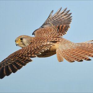 aacomp Extremadura 20120423 5299