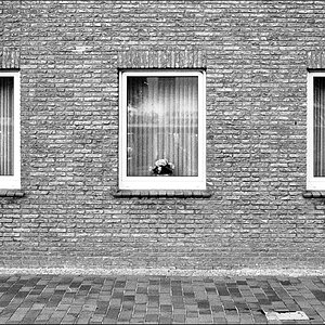 parallelen2