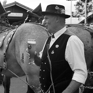 Oktoberfest 2012 1013572