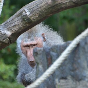 Krefelder Zoo 19 04 12  1