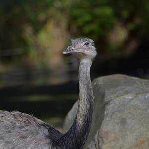Krefelder Zoo 19 04 12 4