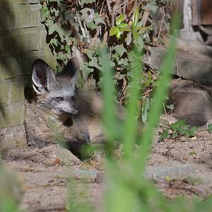Krefelder Zoo 19 04 12 6