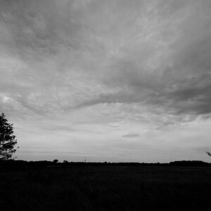 Dark Skies 1