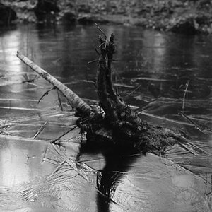 Winterlicher See