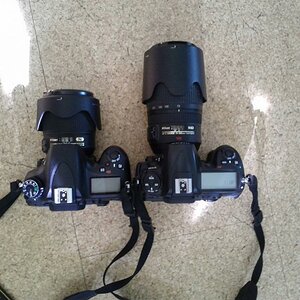 D300 vs D600