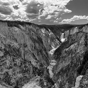 DSC 0602 sw NF-F
Grand Canyon of the Yellowstone