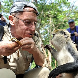Antonio mit Monameekatze
Boabeng-Fiema Monkey Sanctuary
3543