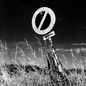 Schild