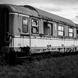 DSC 7053