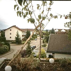 IMG 0692