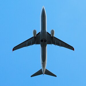 DSC 7418