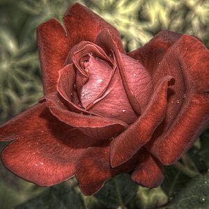 HDR2.1