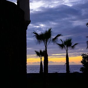Teneriffa DSC 4559