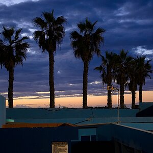Teneriffa DSC 4566