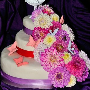 DSC07045
