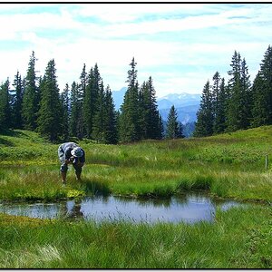 Eine wunderschöne Moorlandschaft in 1800m Höhe, welches ein wahres Insekten- und Krötenparadies war. Unvergleichbar!