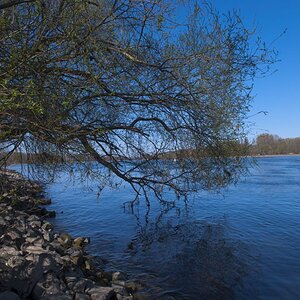 Rhein25.03.12