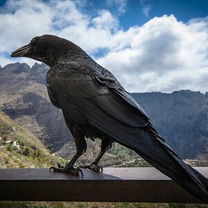Teneriffa DSC 4001