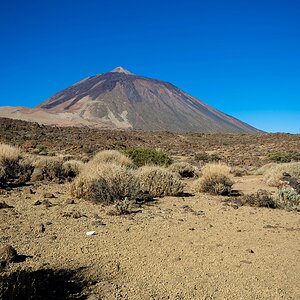 Teneriffa DSC 3918