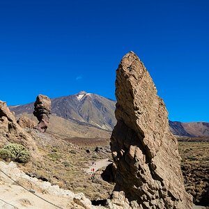 Teneriffa DSC 3940