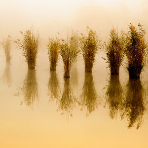 nebel 2