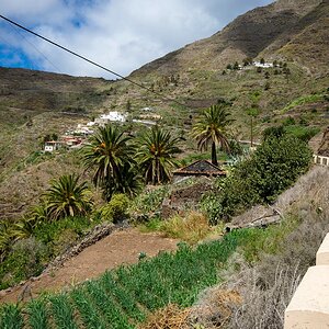 Teneriffa DSC 3993