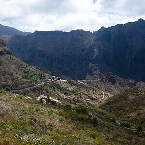 Teneriffa DSC 3996