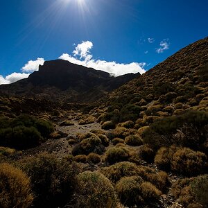 Teneriffa DSC 3948