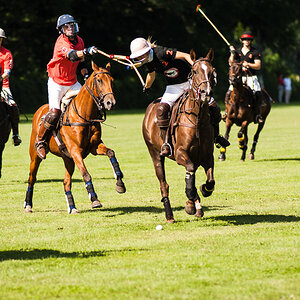 Poloturnier   Brandenburgische Meisterschaften 2012  22. Juli 2012 0025