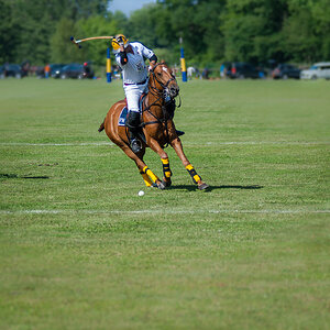 Poloturnier   Start Up Cup 2012  09. Juni 2012 0016