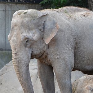 Krefelder Zoo 19 04 12 10