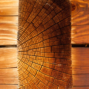 24 Holzstruktur