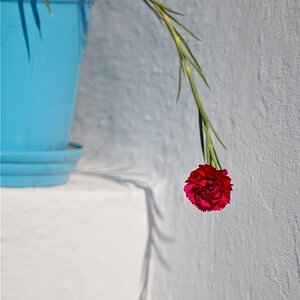 DSC 5672