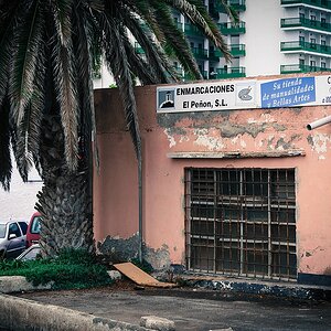Teneriffa DSC 4509