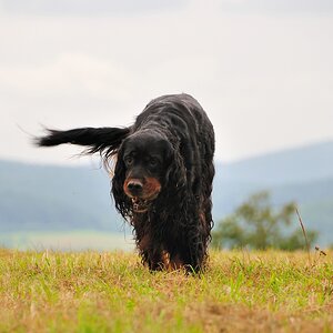 2012 09 15 8670  D300S A