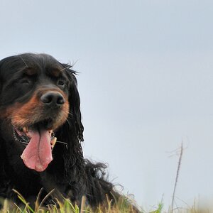 2012 09 15 8682  D300S A